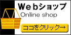 WebVbv